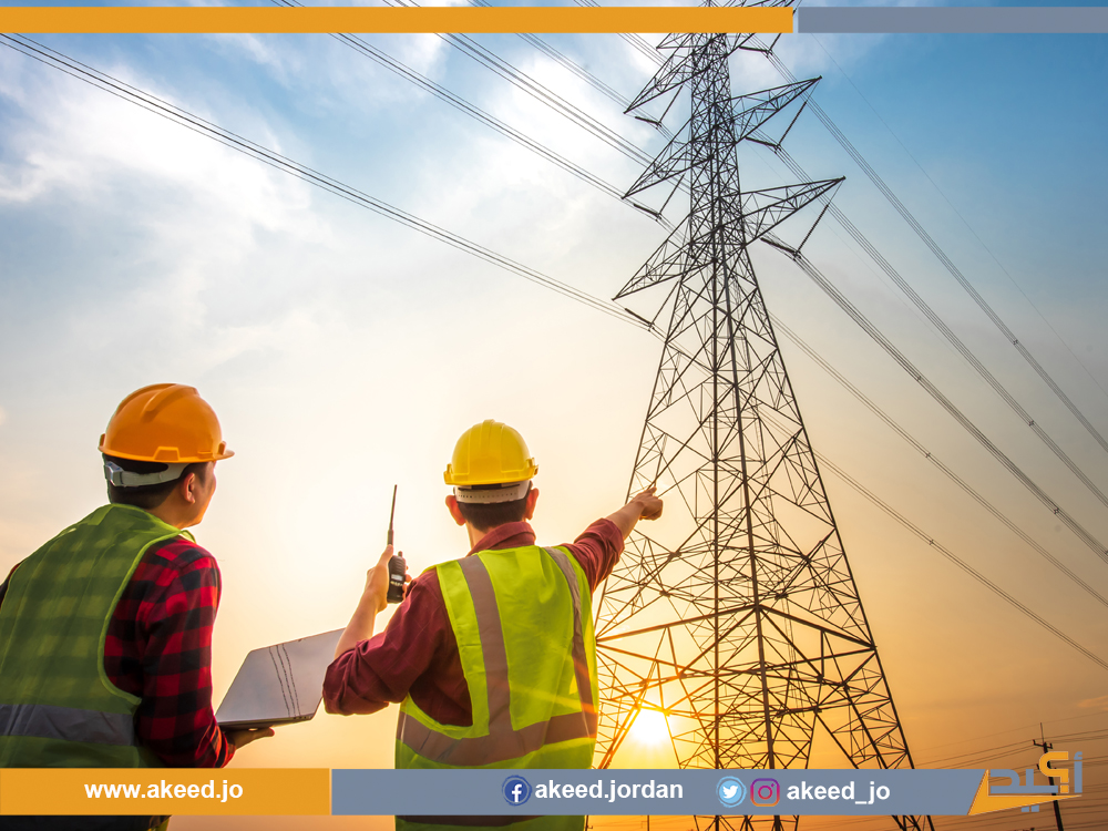 "طائر ضخم يقطع الكهرباء" .. وسائل إعلام تُضلِّل الرأي العام